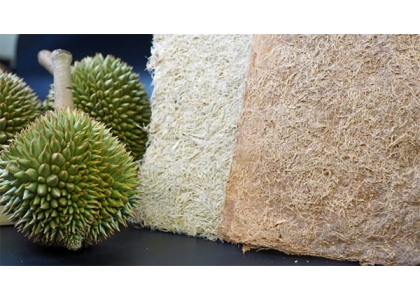 2023–05-12 泰国研究榴莲壳产品的开发，促进环保与创收的双赢！